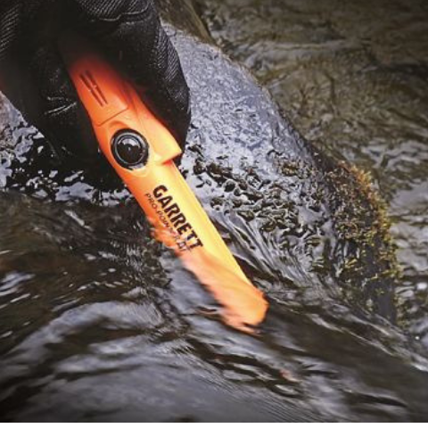 Garrett Pro Pointer AT