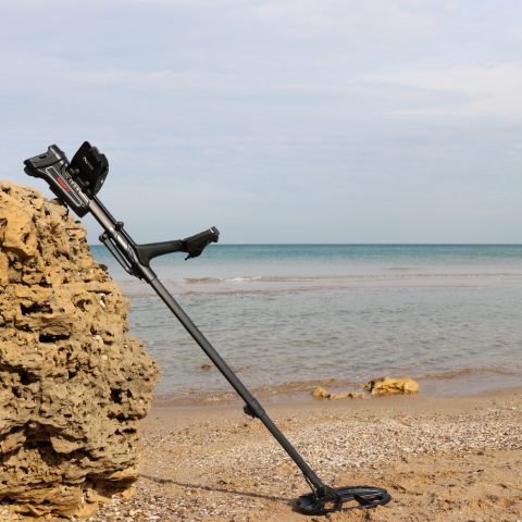 Nokta Impact Dedektör - Çift Başlıklı (Yurtiçi Versiyon)