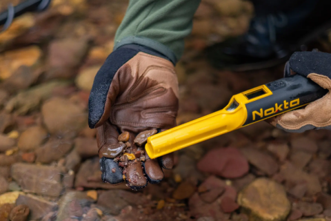 Nokta AccuPoint Pointer